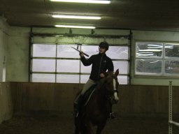 IMG_2979_web